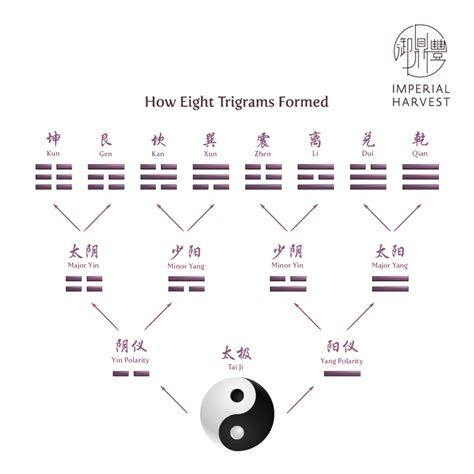 先天後天:gtrtqjnst1k= 八卦|談先天與後天八卦=Primitive Eight Trigram and Posterior Eight。